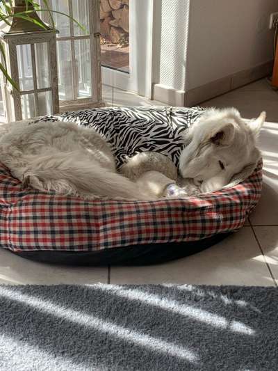 Kastraktion - Statt Trichter, Body oder…?-Beitrag-Bild