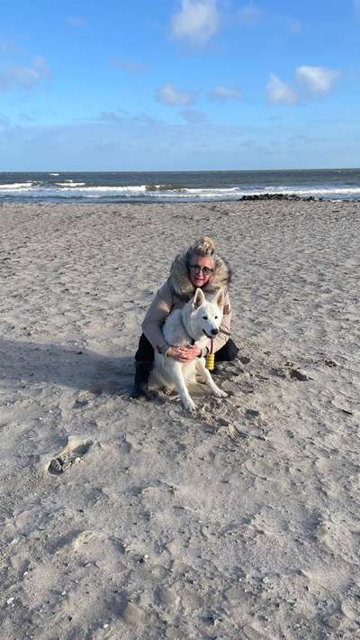 45. Collage Challenge - Lieblingsurlaubs/ Ausflugsziele-Beitrag-Bild