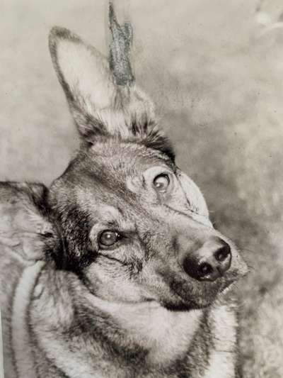 FarbenFoto - Challenge: Sepia-Beitrag-Bild