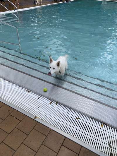 Eure schönsten Fotos mit Wasser-Beitrag-Bild