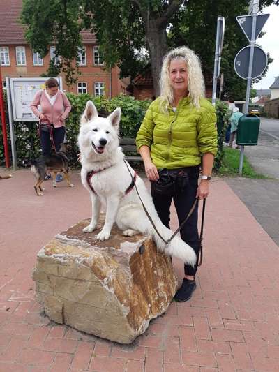 Fotochallenge 108: Starkes Team-Beitrag-Bild