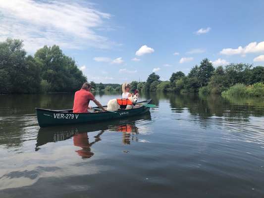 Urlaub im Spreewald - Kanu/bzw.Bootstouren-Beitrag-Bild