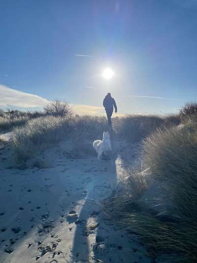 45. Collage Challenge - Lieblingsurlaubs/ Ausflugsziele-Beitrag-Bild