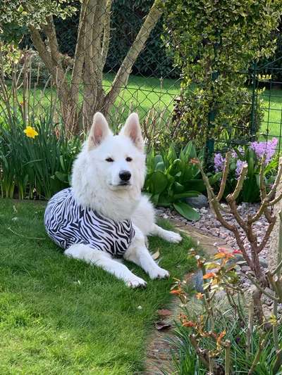 Kastraktion - Statt Trichter, Body oder…?-Beitrag-Bild