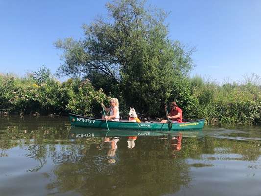 Urlaub im Spreewald - Kanu/bzw.Bootstouren-Beitrag-Bild