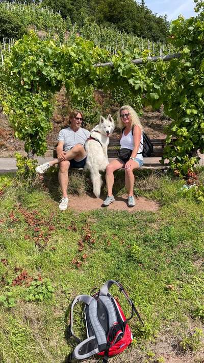 45. Collage Challenge - Lieblingsurlaubs/ Ausflugsziele-Beitrag-Bild