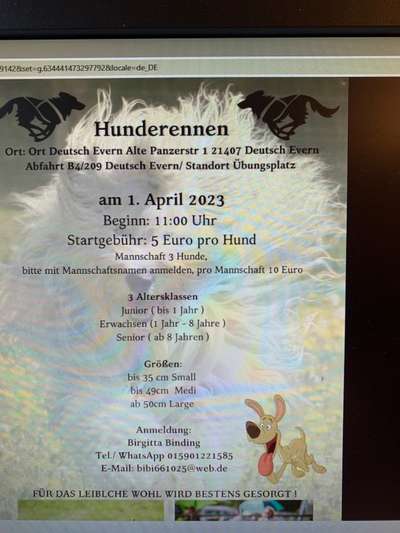 Hunderennen für jeder Mann/ Hund-Beitrag-Bild