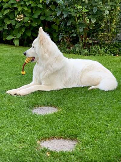 65. Handy Foto Challange                     "Ich kann nicht ohne..."-Beitrag-Bild