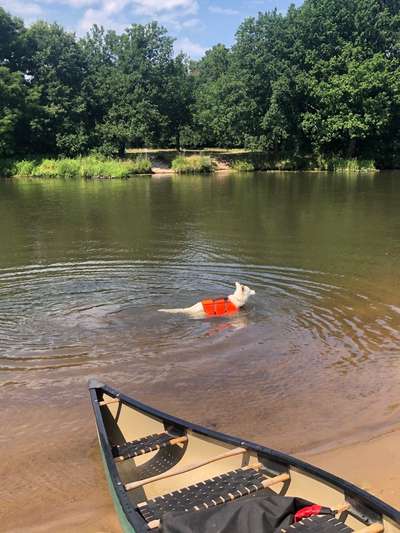 Empfehlung gesucht für Schwimmweste-Beitrag-Bild