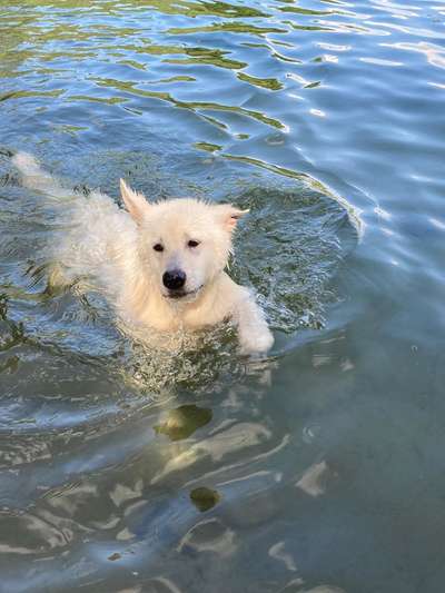 Eure schönsten Fotos mit Wasser-Beitrag-Bild