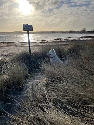 Eure Strandbilder :)-Beitrag-Bild