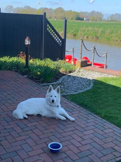 45. Collage Challenge - Lieblingsurlaubs/ Ausflugsziele-Beitrag-Bild