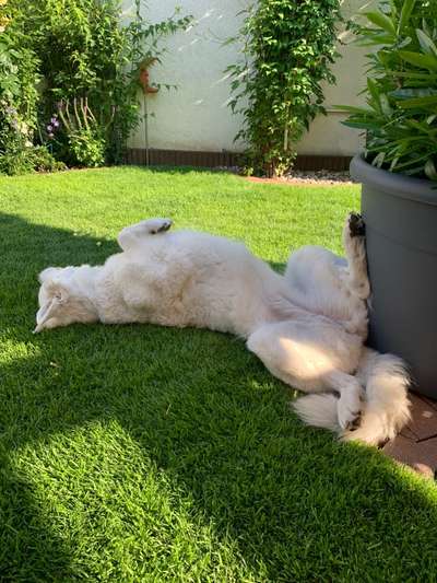 140. Foto Challenge - schattiges Plätzchen-Beitrag-Bild