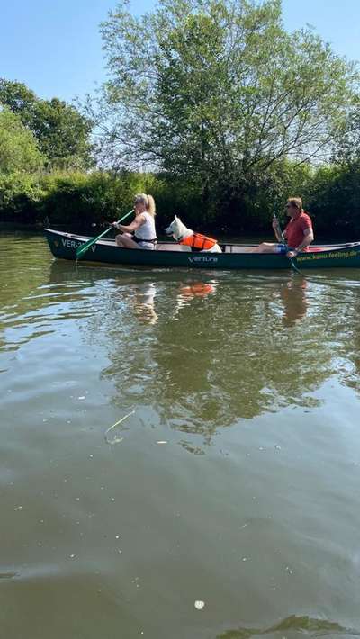 Eure schönsten Fotos mit Wasser-Beitrag-Bild