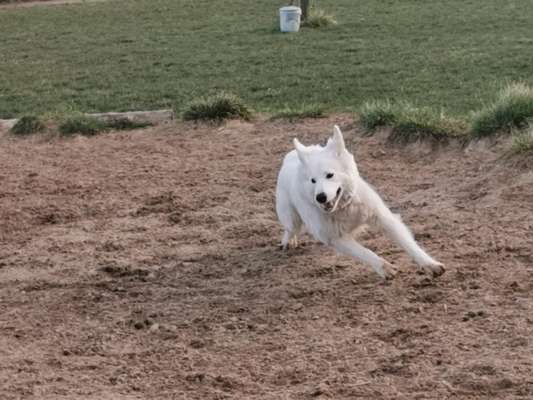 Foto-Challenge Nr. 90: Lebensfreude-Beitrag-Bild
