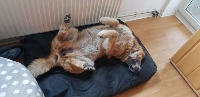 Die unbequemsten und lustigsten Schlafpositionen-Beitrag-Bild