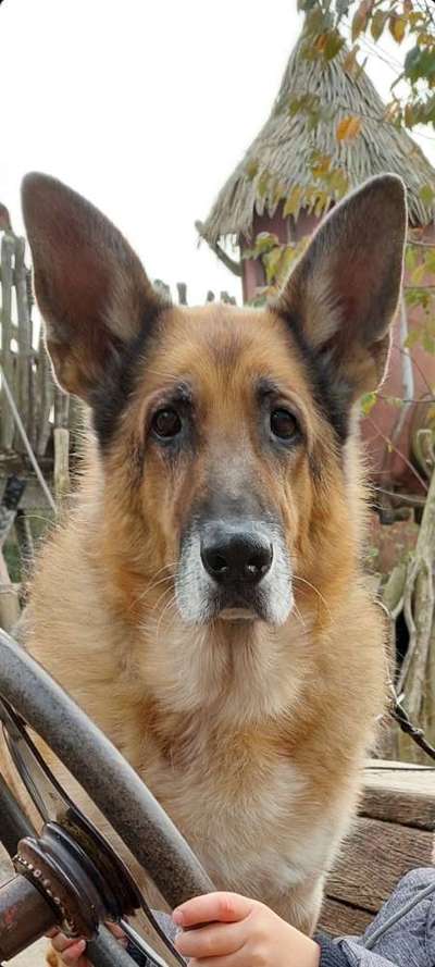 Fotochallange Nr. 57     PORTRÄT.   Beendet!!!!!!!!-Beitrag-Bild