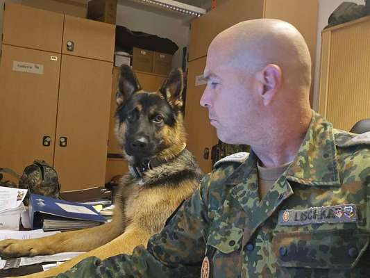 🐶 Sind Bürohunde jetzt VERBOTEN?! 😱-Beitrag-Bild