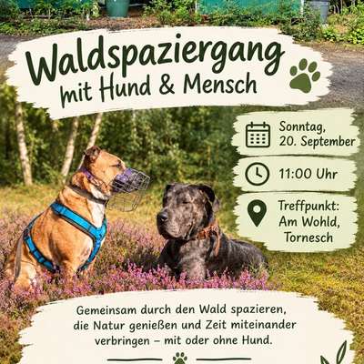 Hundetreffen-Waldspaziergang Forst Rantzau-Bild