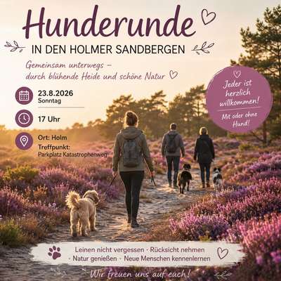 Hundetreffen-Hunderunde in Holm-Bild