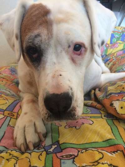 Fotochallenge Nr. 56 - geliebte Senioren-Beitrag-Bild