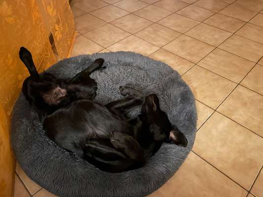 Erfahrung mit Wolkenbett-Beitrag-Bild