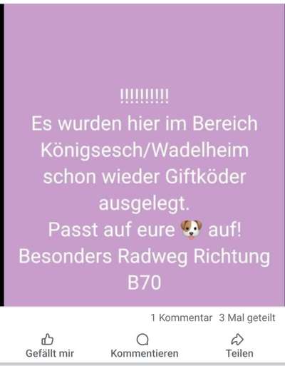 Giftköder-Giftköder Rattengift-Bild