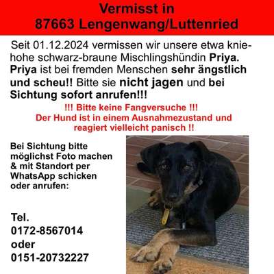 Suchmeldung-Priya-Bild