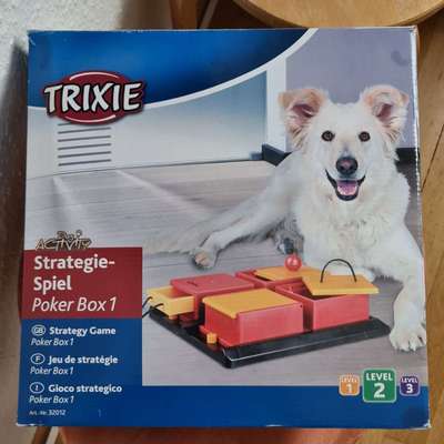 Strategiespiel Level 2 von Trixie-Beitrag-Bild