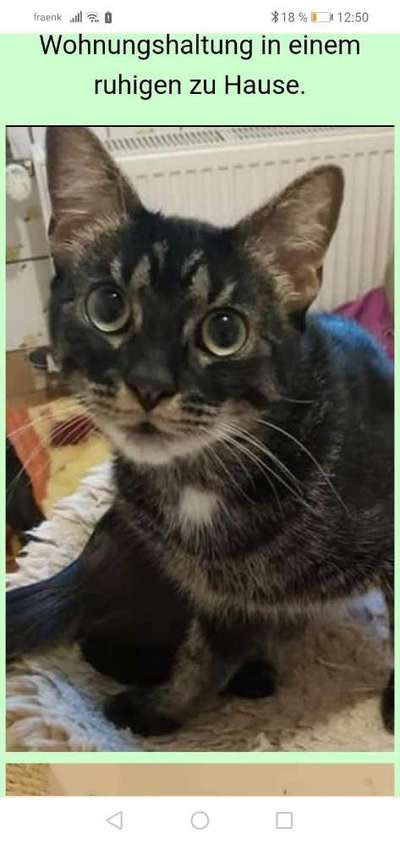 Heute gibt es.....der "ich mach die Leckerlis-Selber-Thread"-Beitrag-Bild