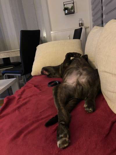 Die unbequemsten und lustigsten Schlafpositionen-Beitrag-Bild