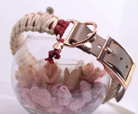 %{de_profession_title}-Paracord Halsband-Bild