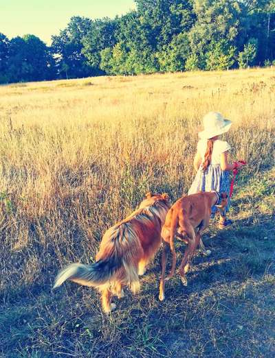 Handy-Foto-Challange Nr. 8-Beitrag-Bild