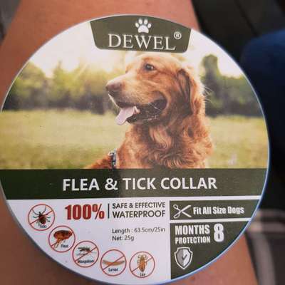 Immer wieder das leidige Thema Zecken-Beitrag-Bild