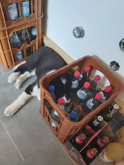 Die unbequemsten und lustigsten Schlafpositionen-Beitrag-Bild