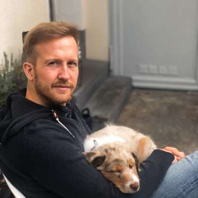 Hundetreffen-Neue Kontakte knüpfen-Profilbild