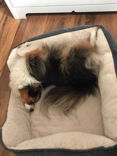 Die unbequemsten und lustigsten Schlafpositionen-Beitrag-Bild