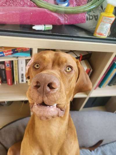 150. Foto Challaenge:  Die Augen, der Spiegel der Seele-Beitrag-Bild