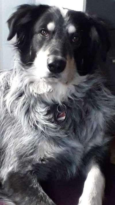 Fotochallange Nr. 57     PORTRÄT.   Beendet!!!!!!!!-Beitrag-Bild