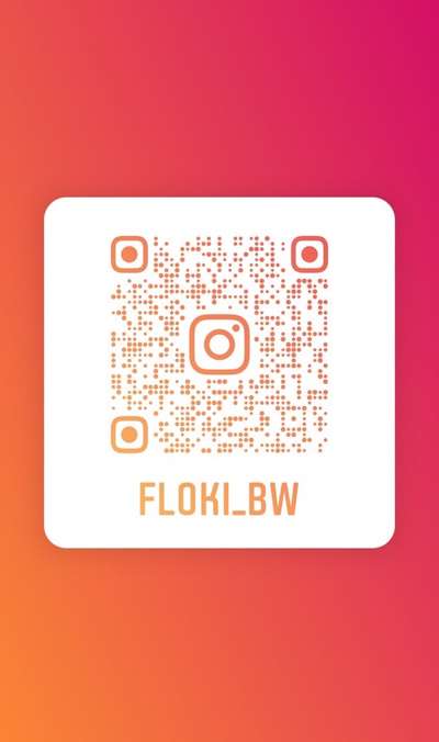 Reinrassige Hunde?-Beitrag-Bild