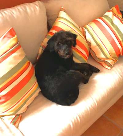 32. Farben Challenge  ** ( BUNTE ) STREIFEN **-Beitrag-Bild