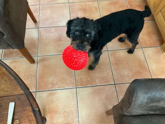 Bettel Blicke-Beitrag-Bild