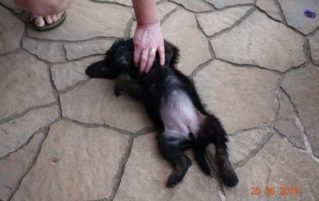 Fotochallenge Nr.65-Beitrag-Bild