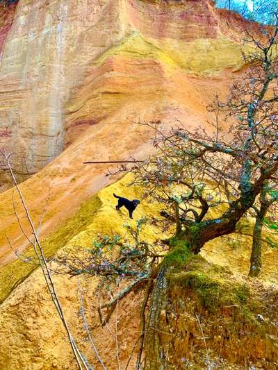 Dogorama Photo Challenge - Tierischer Urlaub-Beitrag-Bild