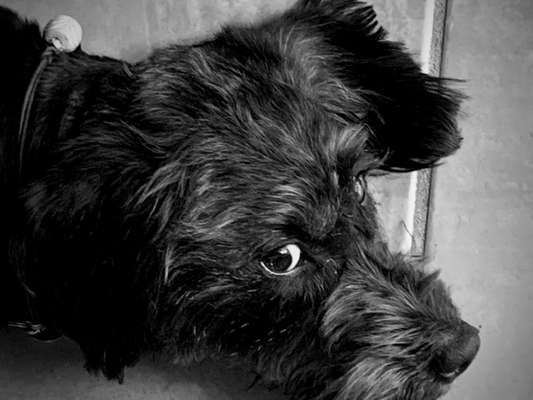 Foto-Challenge 76: Foto in Schwarz-Weiss-Beitrag-Bild