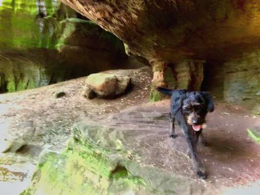 Dogorama Photo Challenge - Steine/Felsen-Beitrag-Bild