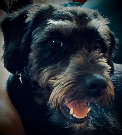 Fotochallange Nr. 57     PORTRÄT.   Beendet!!!!!!!!-Beitrag-Bild