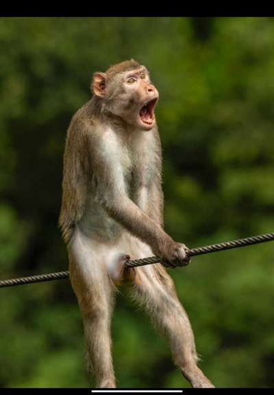 Hier ist der Spaßthread. Zum Schmunzeln und Kaputtlachen-Beitrag-Bild