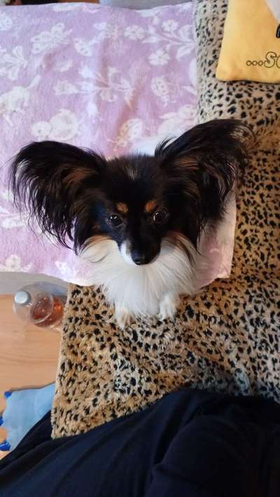 Handy-Foto Challange Nr. 10-Beitrag-Bild