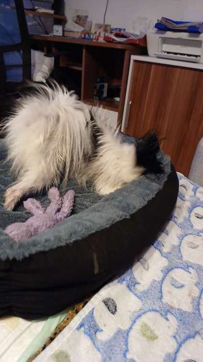 Handy-Foto Challange Nr. 10-Beitrag-Bild